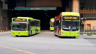 (ERA 45th Anniversary) SG3044S(MDDEP 853) On Service 965 Downroute Trip At Yishun Avenue 2