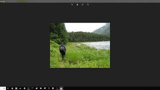 Irfanview 64 - Adding Watermarks To Many Pictures At Once. Free