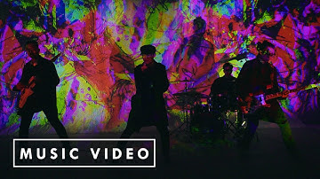 Cá Hồi Hoang - Tự Do