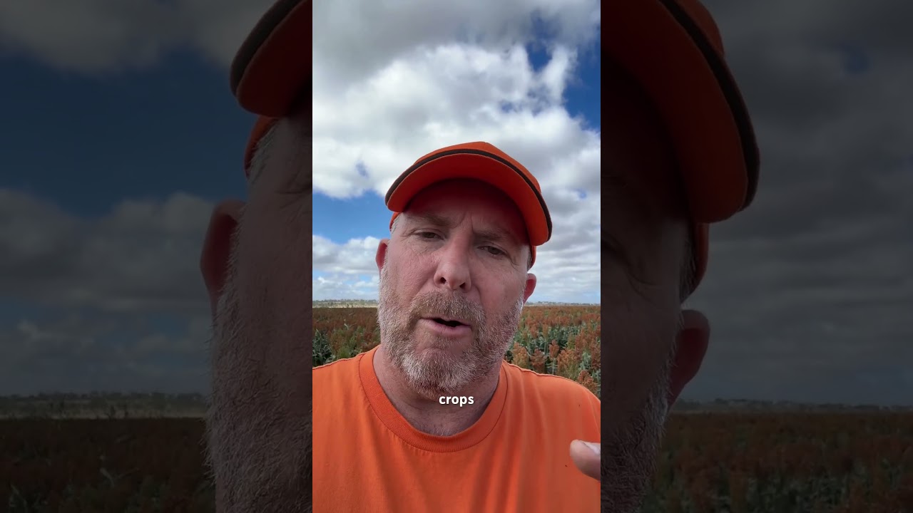 Regenerative Farming Principle - Maximise Crop Diversity