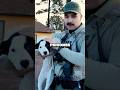 WARNING: PUPPY ARRESTED FOR BEING TOO CUTE #shorts
