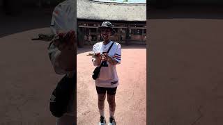 Omg So This Baby Crocodile Just Had To Pee On My Hand