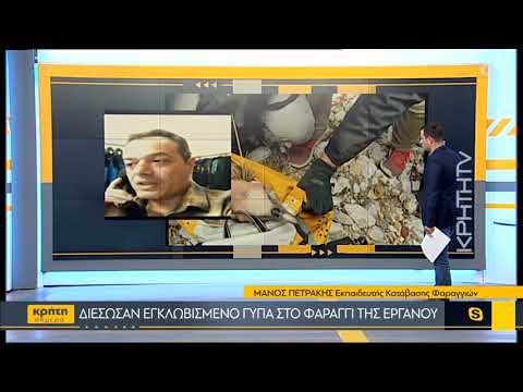 Διέσωσαν εγκλωβισμένο γύπα στο φαράγγι της Εργάνου