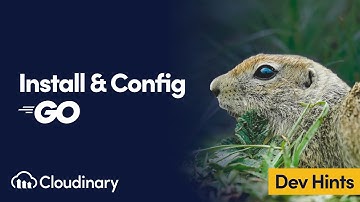 Install & Configure Cloudinary in Go - Dev Hints