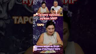 путину срочно нужен мир #таро #путин #мир #украина #таромастер #новости #гадание #путинмир #срочно