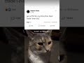 Took me a while to understand #meme #memes #memesdaily #lol #brainrot #cat #pets #viralvideo