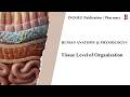 Tissue Level of Organization (Classification) | Human Anatomy &amp; Physiology-I | B.Pharm | D.Pharm