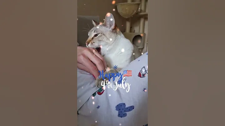 Watch the video about Happy 4th of July! | Happy Independence Day! 🇺🇲