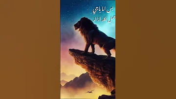 رجع الاسد للغابه 