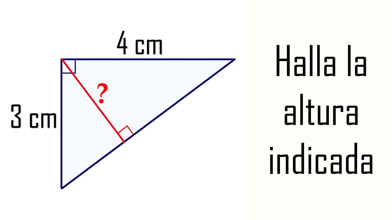 HALLA LA ALTURA INDICADA DEL TRIÁNGULO RECTÁNGULO. Geometría Básica