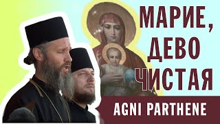 МАРИЕ, ДЕВО ЧИСТАЯ | AGNI PARTHENE | ХОР БРАТИИ ВАЛААМСКОГО МОНАСТЫРЯ