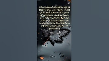 ما تيسر من سورة النبأ بصوت القارئ: محمد أكرم #اكسبلور #المصحف #لايك #تيك_توك