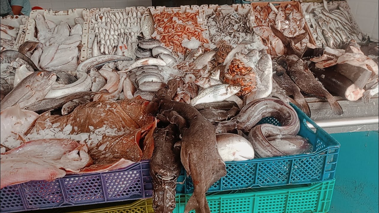 المليح اليوم السبت اللهم بارك عند عادل صويري 🇲🇦