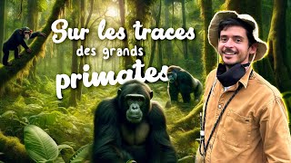 Episode 249 : en pleine forêt face à des gorilles (je fais pas le malin)