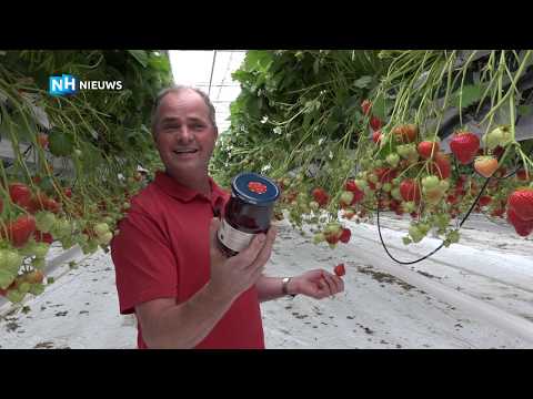 Video: Aardbeien (24 Foto's): Wat Is Het - Een Bes, Een Vrucht Of Een Noot? Wat Is Het Verschil Met Victoria? Hoe Ziet Tuinaardbei Eruit En Waar Groeit Hij?