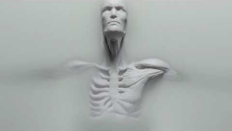 westworld fan made trailer...