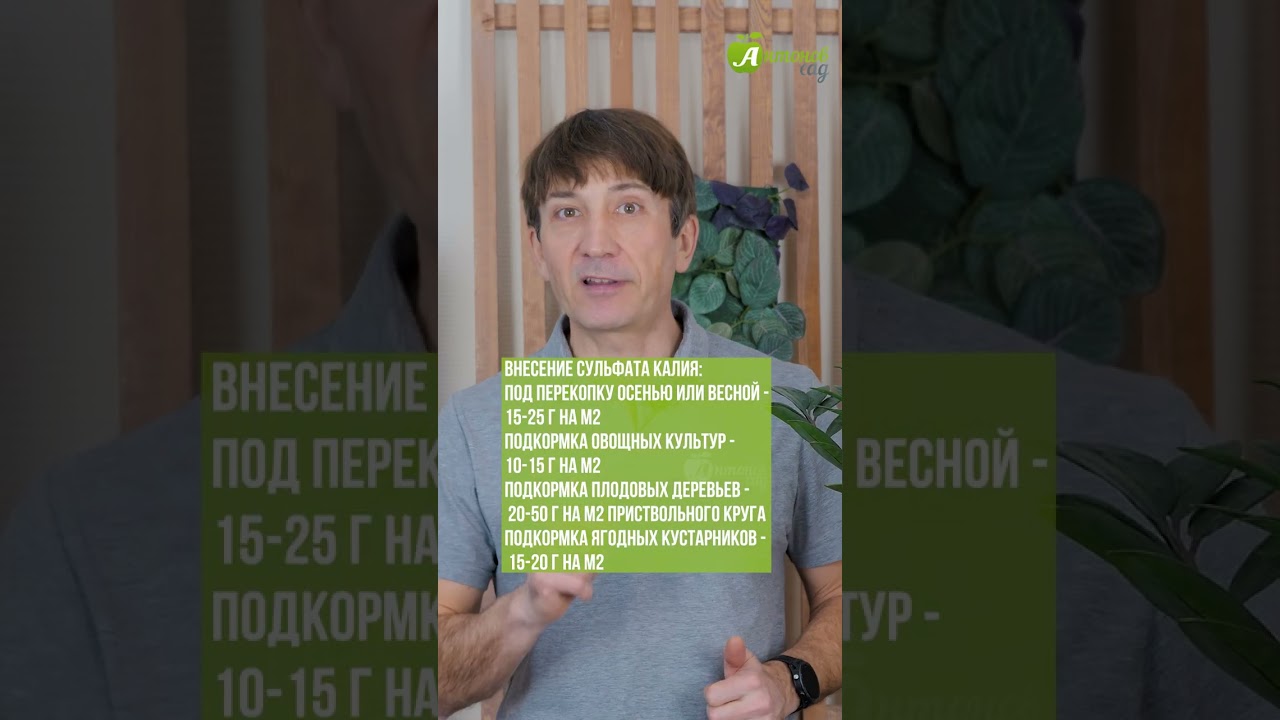 Сульфат калия: как и когда применять? #антоновсад #внесениеудобрений #удобрение