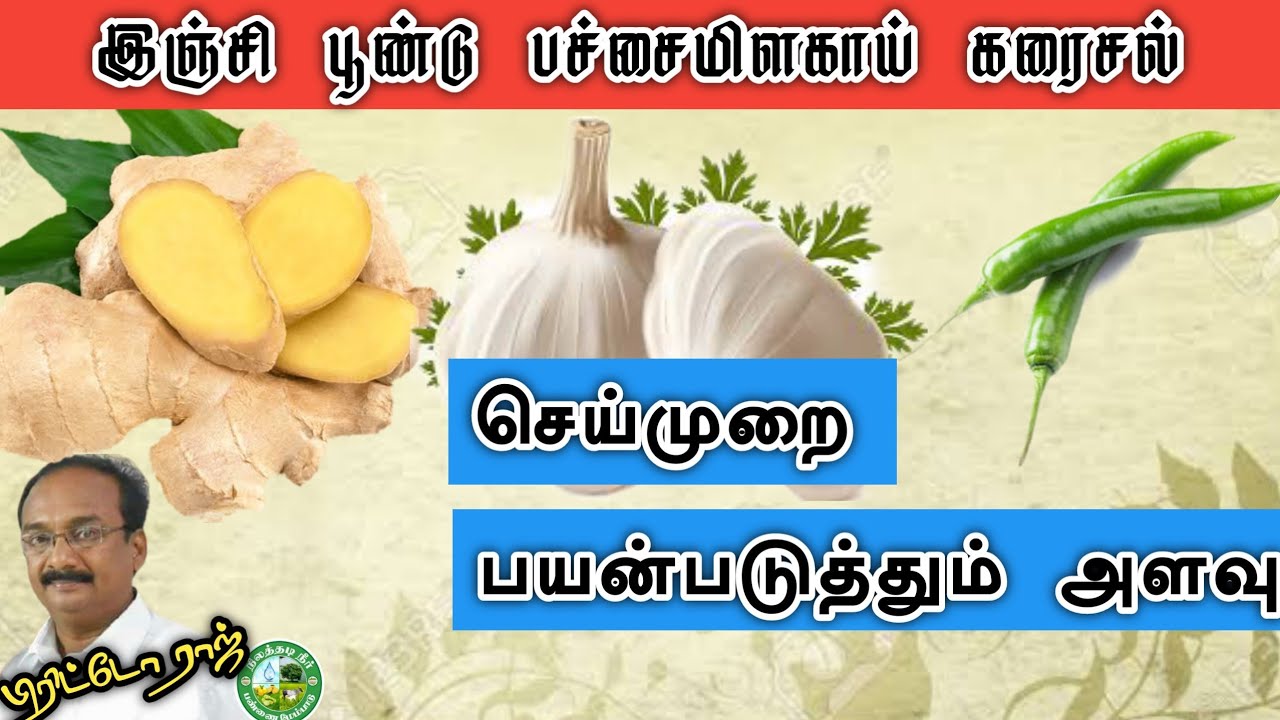 3G கரைசல் @ இஞ்சி, பூண்டு, பச்சை மிளகாய் கரைசல் செய்முறை & பயன்படுத்தல்