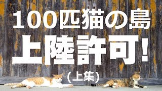 登上貓島啦！貓奴必拜聖地～傳說中貓比人多的日本愛媛縣青島(上集) 100匹の猫の島 | 柴鼠癓Vlog