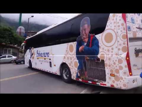 Buses en el Parador Portal paisa Ibagué Tolima