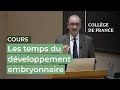 Les temps du dveloppement embryonnaire 3  denis duboule 20222023