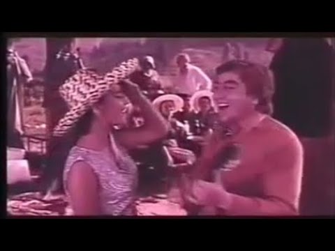 \"ჩარი-რამა\" - \"ჩარი-რამა\" (chari-rama)