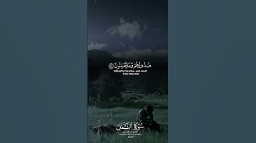 ياسر الدوسري |سورة النمل