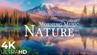 Morning Relaxing Music  Nature Relaxation Film 4K  Sunrise Serenity  Calming Nature UltraHD Video