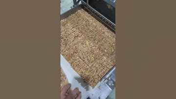 Máy cán cắt cốm gạo cốm mỳ tự động Kim THINH PHÁT Cho ra sản phẩm đều đẹp LH 0936178719 Hải