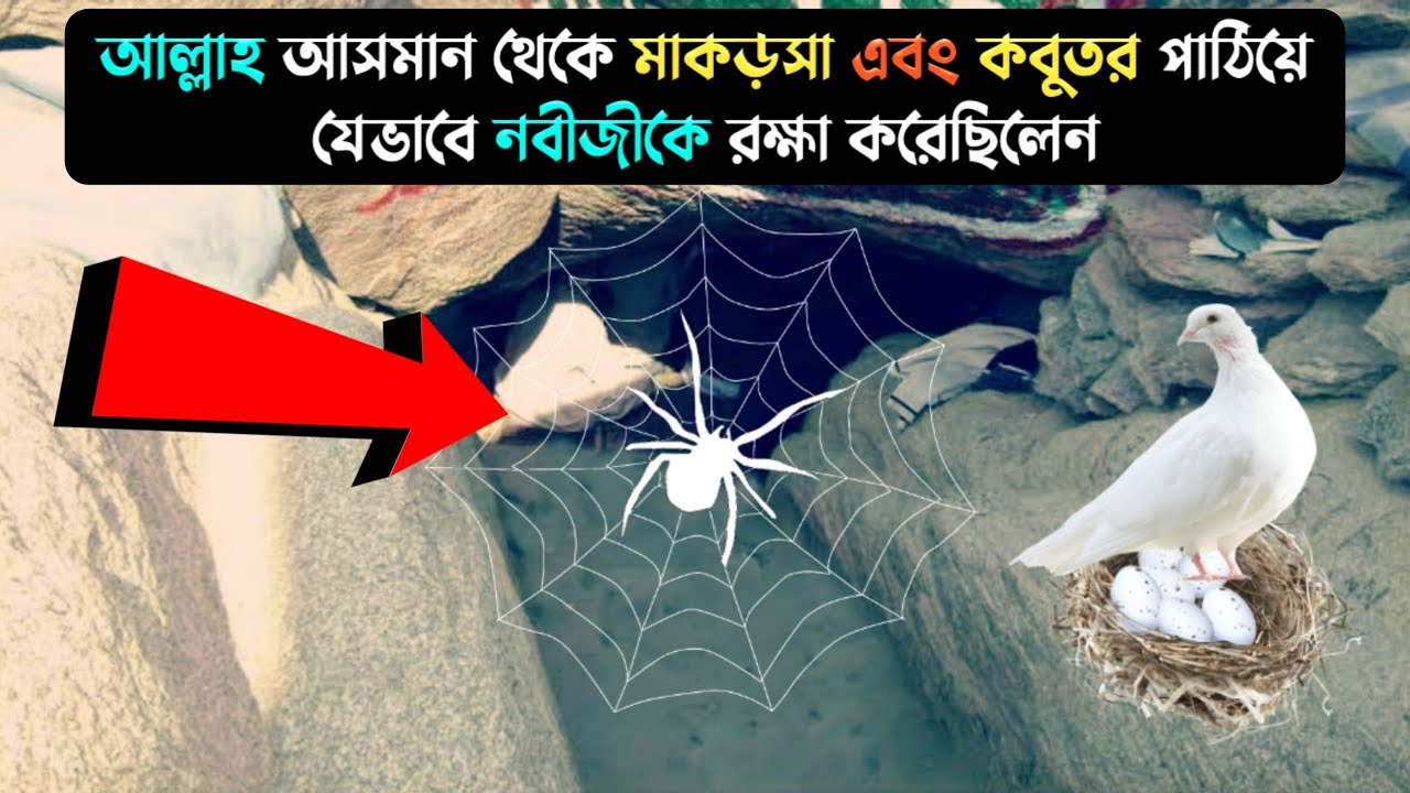 Jamoat joyida yashirin kamera video