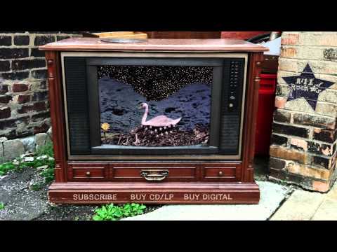 The Thermals – You Dissolve (from Now We Can See)