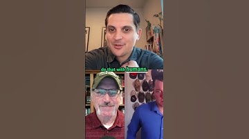 The Transparency Paradox in Decision-Making