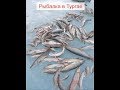 Рыбалка в Тургае март 2018! FishingDan-№16