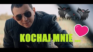 Młode Wilki feat. JAREK, BANDZIOREK & DANUSIA -  KOCHAJ MNIE ( video)4k 2024