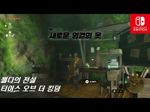 [Switch]젤다의 전설 티어스 오브 더 킹덤 : 미니 챌린지 - 새로운 영걸의 옷 (하테노 마을)