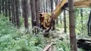 Tree Processor