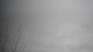 DSCN1782
