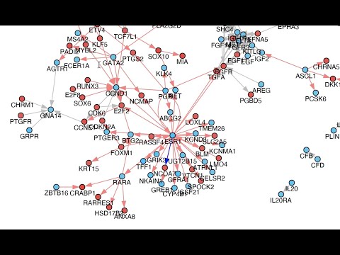Video: Analisis Integratif Profil Kanser Payudara Di TCGA Oleh Subgrouping TNBC Mendedahkan Kumpulan Mikroorganisma Khusus MikroRNA, Termasuk MiR-17-92a, Membezakan Jenis Basal Seperti 1