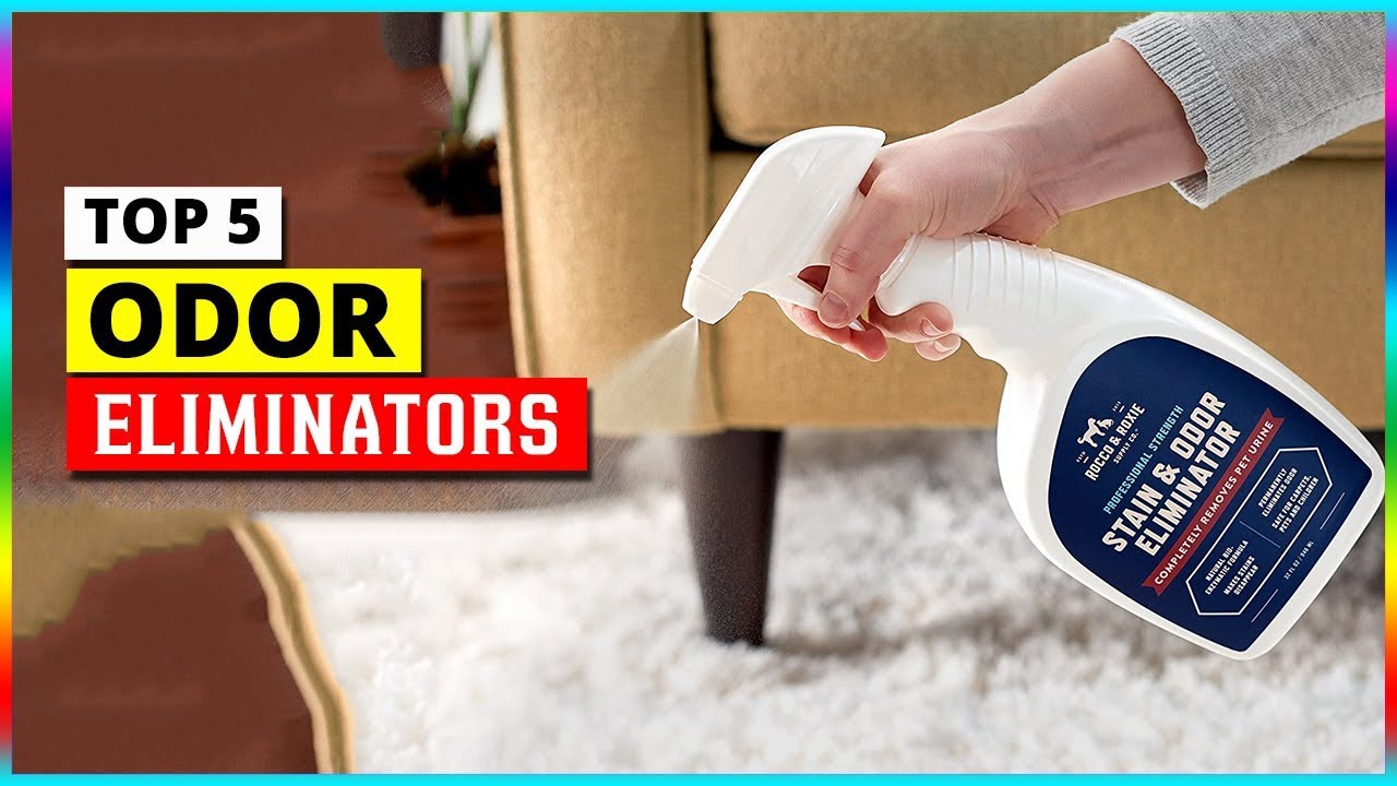 The 17 best odor eliminators of 2023 for every room in the house