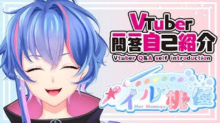 「【自己紹介】#Vtuber一問一答自己紹介/Vtuber Q&A Self Introduction【メイル桃優】」のサムネイル