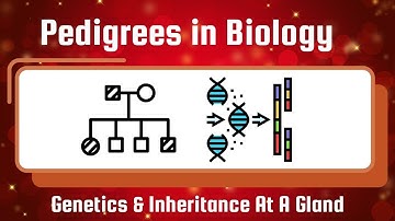 Pedigrees in Biology: Genetic Traits and Inheritance Patterns At A Glance