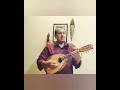 Rahe na rahe hum  pradipto sengupta  mandolin solo 