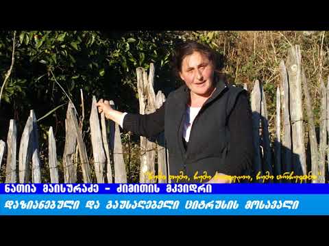 ჩემი თემი, ჩემი სოფელი, ჩემი არჩევანი – დაზიანებული და გაუსაღებელი ციტრუსი