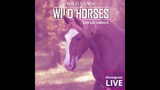 Instagram Live - Adoption Story 1 - Deb Lee Carson by Wild Lands Wild Horses 334 views 4 years ago 12 minutes, 32 seconds