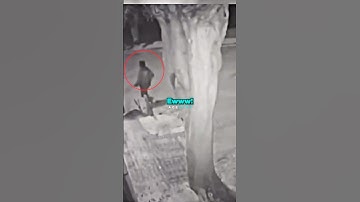 Cat Turns into a Human🤯