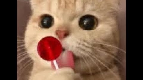 OP POP IT TRADING SCRIPT 2025 *BUY ANYTHING YOU WANT*