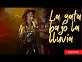 Karina - La gata bajo la lluvia (en vivo) | Concierto junto a mariachis