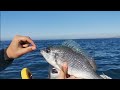 Inflatable boat fishing off Brighton - sib fishing for plaice and bream