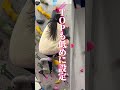 【2026年冬SET】キッズマンスリー30（1番〜10番） #bouldering#習い事#岐阜県＃ボルダリング