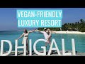 Dhigali Maldives - vegan-friendly luxury resort